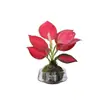 Gardenia Hidropónica Bola de Musgo en Maceta Rosa Miniatura Plantas de Oficina Bambú de la Suerte Árbol del Dinero de Escritorio Interior