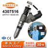 Ensamblaje de Inyector de Combustible de Alta Calidad 4307516 Adecuado para Motores Cummins Series Qsn14 N14