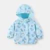 Conjunto de Corta-Vento Duas Peças para Meninos Primavera e Outono, Jaqueta com Capuz Estilo Coreano para Bebês, Roupas Infantis de Comércio Exterior Transfronteiriço para Bebês