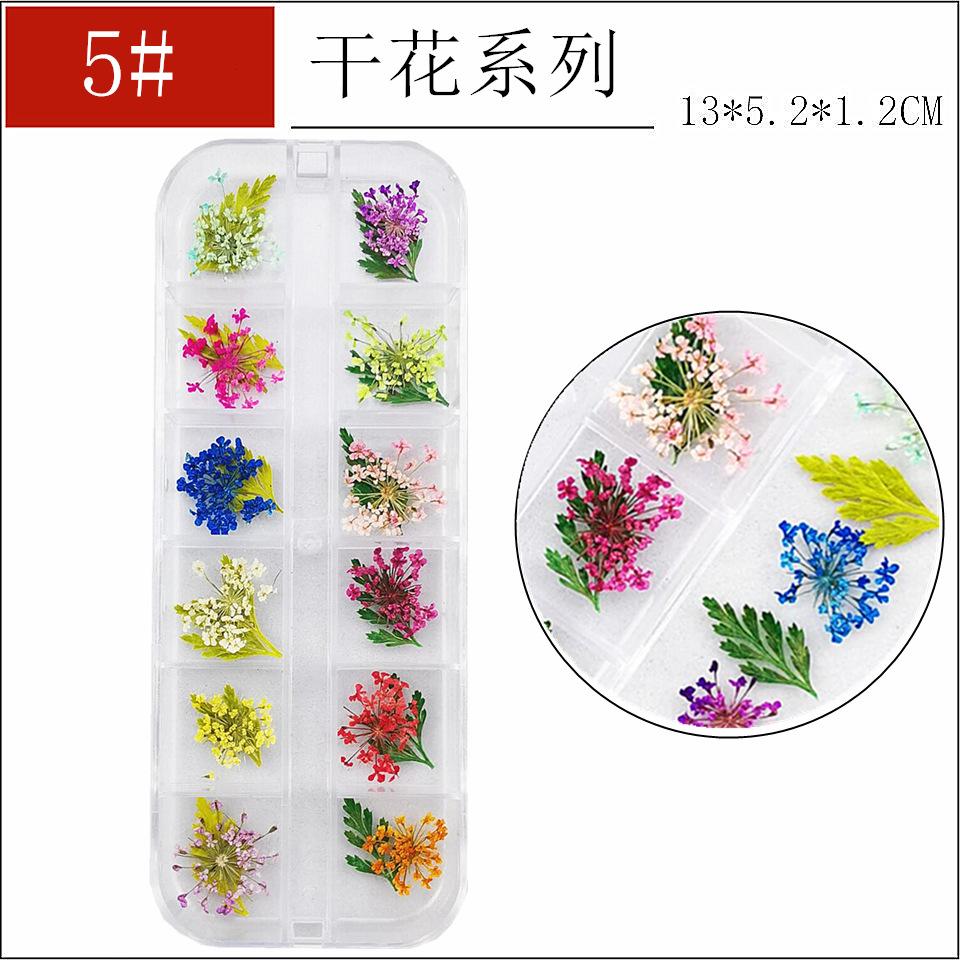 干花5-_副本