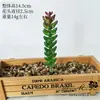 2026 Simulación de Suculentas Mini Adornos Combinación Decoración Exterior para el Hogar Plantas en Maceta Bonsái Suculentas Decoración al por Mayor