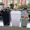 Maceta de Plástico con Control de Raíz Estilo Japonés Cuadrada Transpirable Versátil Maceta Negra Blanca Maceta de Terracota Maceta para Suculentas Tamaños Grande y Pequeño