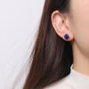 Brincos de moda minimalista cor de prata S925 banhados a ouro brincos femininos lapis lazuli brincos novos outono e inverno