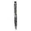 Extensiones de Cabello de Plumas Clip-in