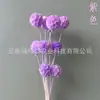 Molino de Viento Fruta de Flor Preservada, Materiales Florales Decorativos Fruta de Piña de Flor Preservada, Adornos para Arreglos Florales, Venta Directa de Fábrica, Superventas Transfronterizos