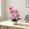 Novo vaso de areia preta com garfos duplos, bonsai de orquídea Phalaenopsis com 11 flores, adereço de fotografia para plantas verdes, vaso de flores para decoração de casa para sala de estar