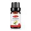 Empaque Completamente en Inglés Aceite Esencial Único de Árbol de Té para Fragancia de Velas DIY, Aceite Esencial de Árbol de Té, Aceite Esencial de Aromaterapia de Árbol de Té