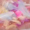 Atacado Macaroon Feather Polo Ball Feather Polo Ball Filler Feather Tingido Goose Feather Flutuante 1 Pacote 100 Peças