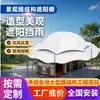 Cobertura de sol em estrutura de membrana paisagística de formato especial, toldo de paisagem para lazer ao ar livre, pavilhão de praça de parque em membrana tensionada