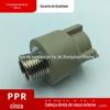 Guangdong Liansu PPR acessórios para tubos de abastecimento de água rosca externa de cobre direto dente externo direto agente de primeira classe preço de fábrica fornecimento direto