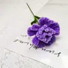 Palitos Torcidos, Cravos, Produtos para o Dia da Mulher, Atacado, Exibição de Banca, Arranjos de Flores, Flores Artificiais, Dia das Mães, Frete Grátis, Quantidade Mínima de Pedido