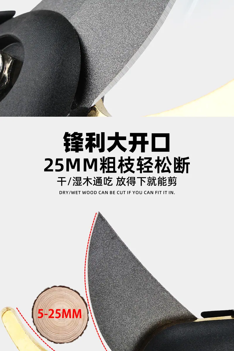 6 拷贝.jpg