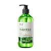 Baizhentang Platycladus orientalis aloe vera champú limpio y esponjoso al por mayor refrescante y esponjoso cabello suave cuidado sedoso del cabello