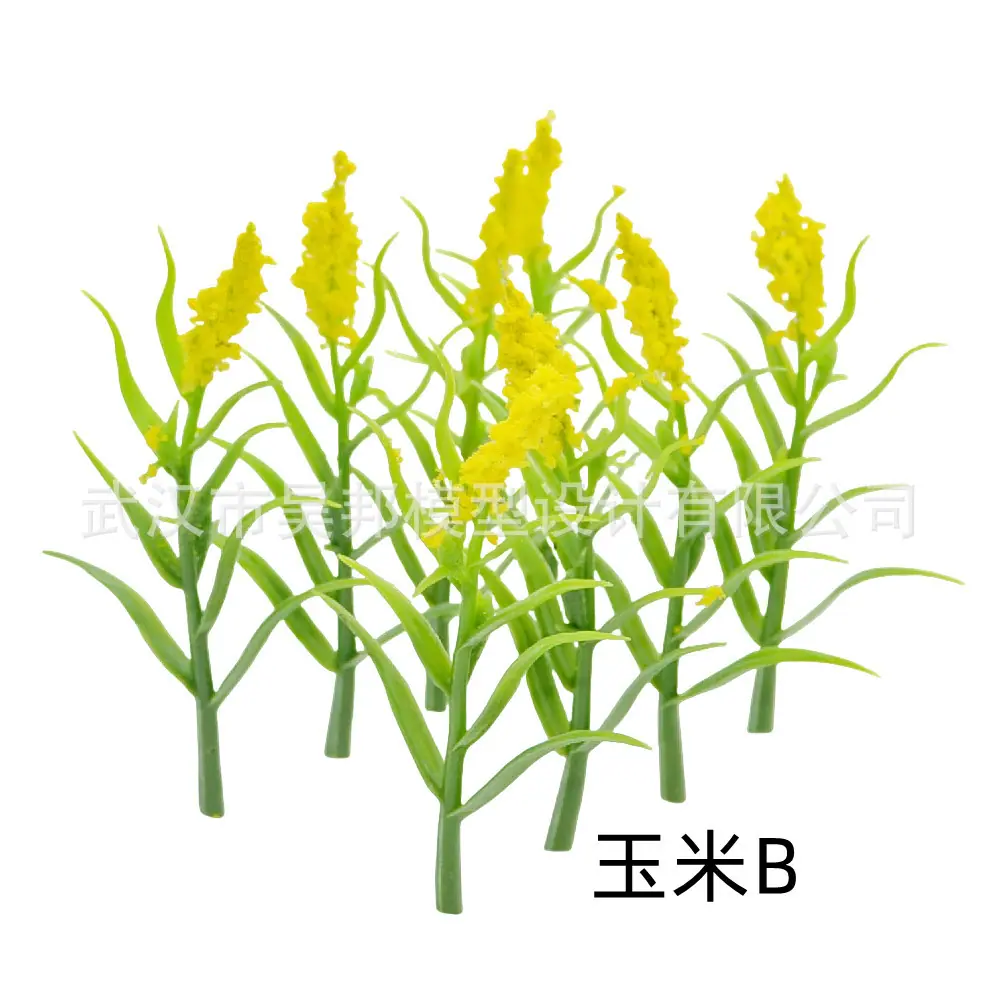 玉米B.jpg