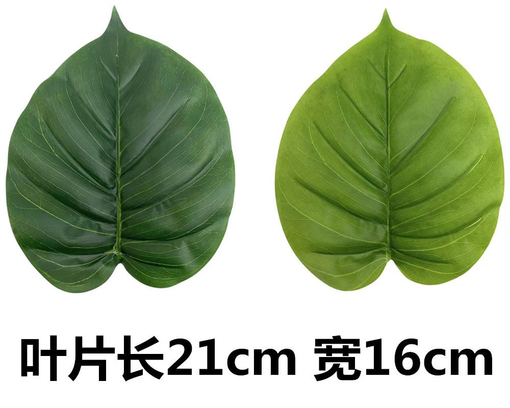 未命名_副本51