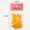 Accesorios de Uñas Artísticas Tendencia en Línea: Pajaritas Versátiles de Colores Mate 3D Decoraciones para Uñas de Resina DIY