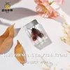Fabricante de Espécimenes Reales de Insectos, Fábrica de Artesanías de Alta Calidad Operada Directamente, Educación Primaria, Educación Científica al por Mayor, Fideos Instantáneos en Stock