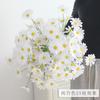 5 cabeças Margarida Holandesa pequena Margarida Persa flor artificial flor de seda pequeno crisântemo selvagem flor falsa Decoração de Margarida casamento atacado