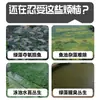 Estanque de Peces de Agua Verde Pecera Removedor de Algas Removedor de Musgo Artefacto Removedor de Algas Verdes Musgo Algas Verdes Algas Marrones Lenteja de Agua Red