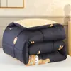 Atacado do Fabricante Colcha Grossa Quente de Inverno para Dormitório de Estudante Solteiro, Núcleo de Colcha Dupla, Roupa de Cama, Colcha de Penas e Seda para Quatro Estações