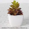 Suculentas Simuladas Personalizadas Cerámica Bonsái Plantas Verdes Escandinavas Adornos Hogar Interior Sala de Estar Flores Falsas Suculentas Plantas en Maceta
