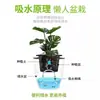 Vasos de Flores Plásticos Espessados Autoirrigáveis para Plantas de Interior, Armazenamento de Água Autoabsorvente para Prevenir o Apodrecimento das Raízes, Venda por Atacado do Fabricante