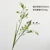 Follaje de Planta Artificial Hierba Pequeña de 2 Ramas, Suministro Extranjero para Decoración del Hogar, Diseño de Bodas, Materiales para Arreglos Florales al por Mayor