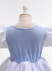 Vestido de Princesa Cenicienta Cenicienta para Niñas Frozen Elsa Malla Abullonada Bordado Vestido para el Día del Niño Infantil
