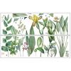 Fanxi Nova Planta Flor Língua Série Rodapé Adesivos de Parede Criativo Moderno Decoração de Casa Autoadesivo FX-C81