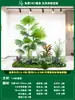 Paisagismo de Planta Artificial Varanda Arranjo de Paisagem Escada Interna Sob Árvore de Flores Artificiais Decoração Biomórfica Planta Verde Paisagismo Combinação