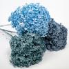 Hortensia de Hoja Pequeña Flor Eterna de Yunnan Flor Seca Rama Única Adornos para Decoración del Hogar Ramo Hecho a Mano Material DIY Venta al por Mayor