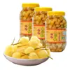 Pimentas de Sete Cores de Guangxi Picles em Garrafa Grande 0,9kg Pimentões Sino de Sete Cores Picles Crocantes e Ácidos para Acompanhamentos Apetitosos