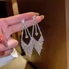Pendientes 2023 Nuevos de Moda para Mujer Celebridad de Internet Explosiones Temperamento Pendientes Largos con Borlas Pasador de Plata de Ley 925