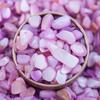 Venta Caliente Transfronteriza Artesanías de Conchas de Colores Fragmentos de Materia Prima Grava de Concha de Colores Asimétrica Rodajas de Concha de Colores Teñidas Nacionalmente