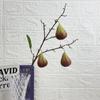 Nuevos productos transfronterizos Diversas simulaciones de frutas Manzana Caqui Adornos para sala de estar Decoración Hogar Año Nuevo Arreglo floral Adornos de mango