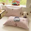 2026 Nuevo Juego de Dos Fundas de Almohada de Vellón de Leche Invierno Dormitorio Universitario Habitación Individual Dedicado Resistente a Manchas a Prueba de Aceite Funda de Almohada