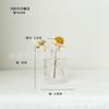Florero de Vid Transparente Pequeño Boca Estrecha Arreglo Floral Flores Secas Aromaterapia Escritorio Sala de Estar Decoración Hogar Nórdico Florero de Vid