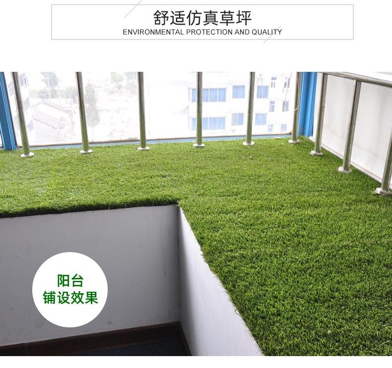 彩色草皮详情_15.jpg