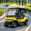 Atração turística carrinho de golfe elétrico, veículo de turismo para resort de parque de diversões, carrinho de golfe de zoológico