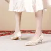 Zapatos de Tacón Alto de Malla Blanca con Grullas de Almohada para Mujer, Nuevo Estilo de Verano, Vestido de Novia Xiuhe, Zapatos de Novia de Doble Uso, Tacón Fino, Punta Fina, Calados y Transparentes