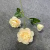 Auditório de Casamento Peônia Yang Brasileira Flor Bifurcada ao Ar Livre Decoração de Flor Peônia Yang