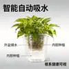 Vaso de flor automático autoirrigável Jinhong, recipiente hidropônico plástico transparente para cultivar plantas verdes e suculentas