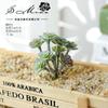 004 Cabeza de Flor de Planta Suculenta Verde Afelpada Suministros Creativos para Bricolaje Accesorios para Colgar en la Pared Decoración de Flores para el Hogar Planta Verde Shangyi