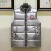 Chaleco Brillante Europeo Transfronterizo Lavable para Hombre de Algodón Plumón con Cuello Vertical Talla Grande Casual Chaleco Superior Combinable