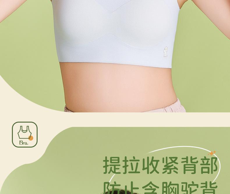2478详情_21.jpg