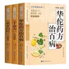 Interpretación del Huangdi Nei Jing en Chino Vernacular, Guía de Salud China, Versión Original del Huangdi Nei Jing, Colección Completa Genuina, Texto Original en Versión de Chino Vernacular