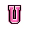 Accesorios para Zapatos Rosas con Letras y Números de Venta Caliente Transfronterizos, Bolsos Bogg, Hebillas Decorativas Desmontables para Zapatos DIY