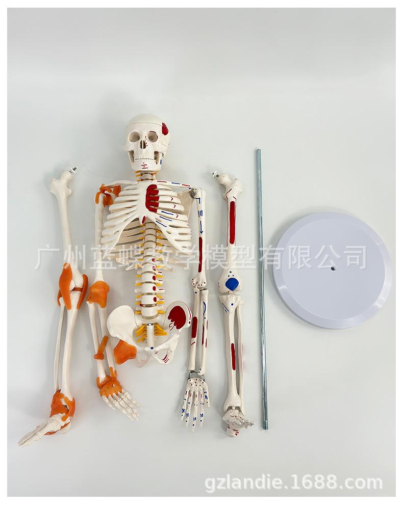 详情_14