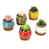 Maceta Suculenta Interior Escritorio Balcón Decoración Exportación Transfronteriza Jardinería Cerámica Mayoreo Regalos Navideños