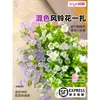 Flores Que Florescem por Muito Tempo e São Fáceis de Cultivar, Lírios, Sino dos Ventos, Flores de Corte Frescas, Plantas Hidropônicas de Cabelo Reto de Yunnan, Rosas, Arranjos de Flores de Interior